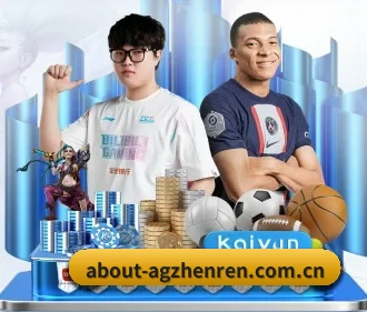 五大服务分区,信息按项目分类